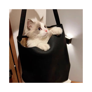 .park calfskin bag